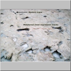 100_0635 (2009-27-07)m-labeled.jpg